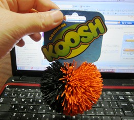 クッシュボール.JPG